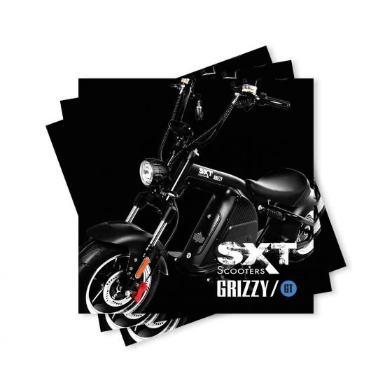 Brochure promotionnelle SXT Grizzy / SXT Grizzy GT (paquet de 10) 